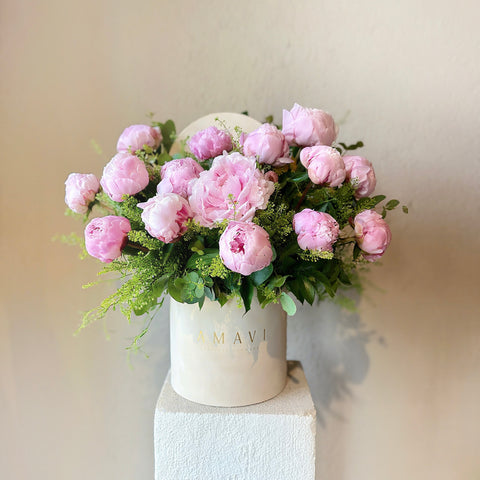 Sarah’s Pink Peonies Toz Pembe Şakayıklar