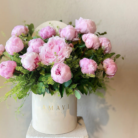 Sarah’s Pink Peonies Toz Pembe Şakayıklar