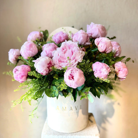 Sarah’s Pink Peonies Toz Pembe Şakayıklar