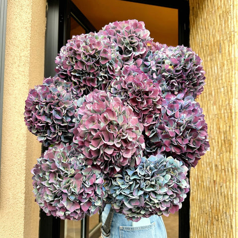 Moonlight Petals Ortanca Buketi