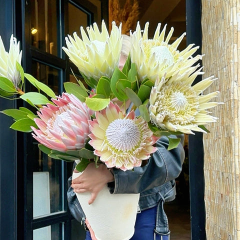 White Protea Luxe Vazoda Aranjman