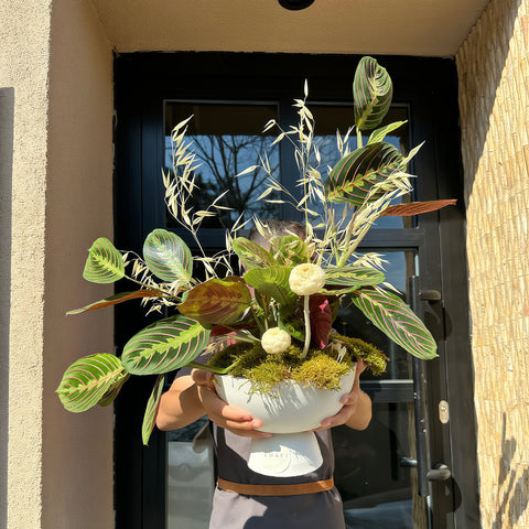 Ayaklı Dekoratif Saksıda Calathea (Dua Çiçeği)
