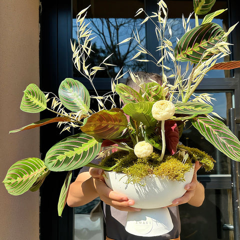 Ayaklı Dekoratif Saksıda Calathea (Dua Çiçeği)