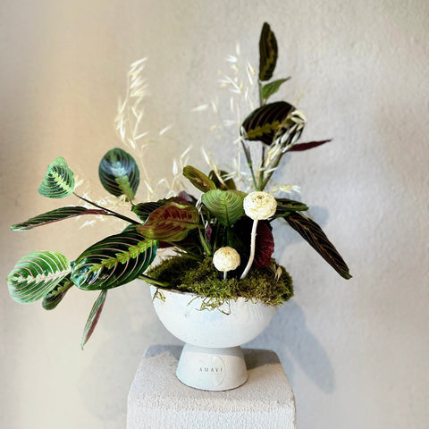 Ayaklı Dekoratif Saksıda Calathea (Dua Çiçeği)