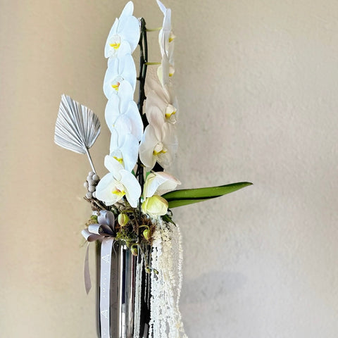 Silver Bloom Özel Premium Orkide