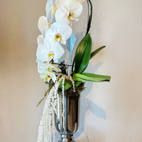 Silver Bloom Özel Premium Orkide