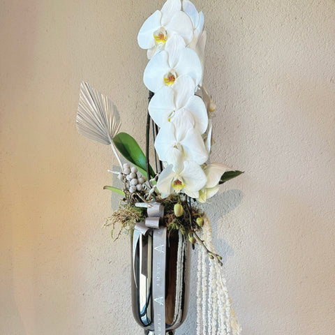 Silver Bloom Özel Premium Orkide