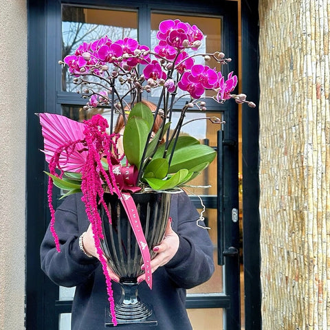 Deluxe Multi Fuchsia Orchid