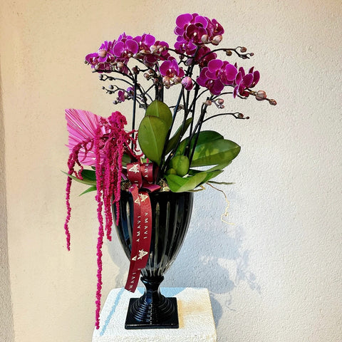 Deluxe Multi Fuchsia Orchid
