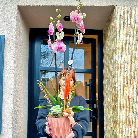 Salmon Orchid in 2 Branch Premium Concrete Pot