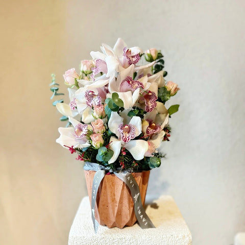 Cymbidium Delight Vazoda Aranjman