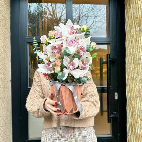 Cymbidium Delight Vazoda Aranjman