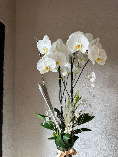 Dried Flower Orchid Arrangement