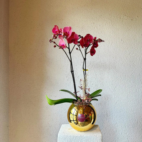 Sweet Orchid in Rose Gold Vase