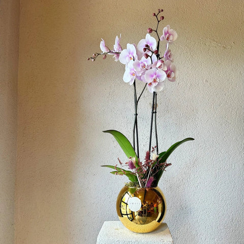 Soft Pink Orchid in Gold Vase