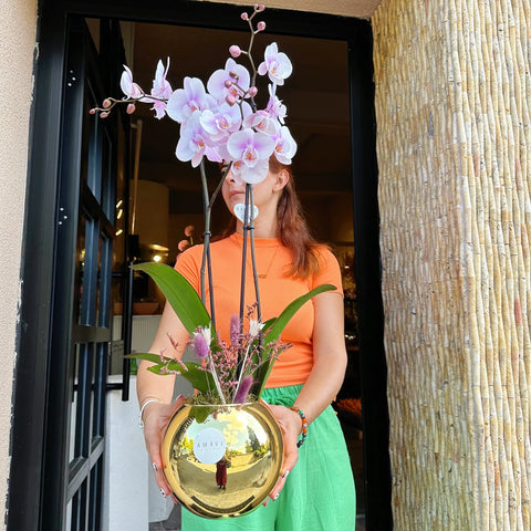 Soft Pink Orchid in Gold Vase