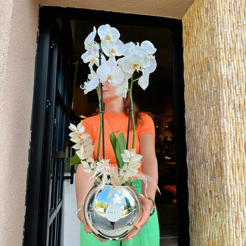 Premium White Orchid in Silver Glass Vase