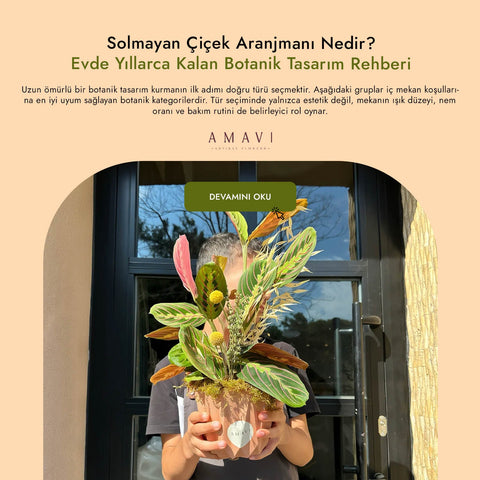 Solmayan Çiçek Aranjmanı Nedir? Evde Yıllarca Kalan Botanik Tasarım Rehberi
