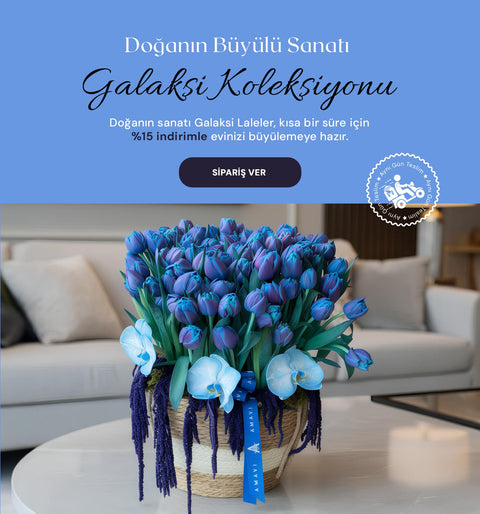 Galaksi Lale Koleksiyonu