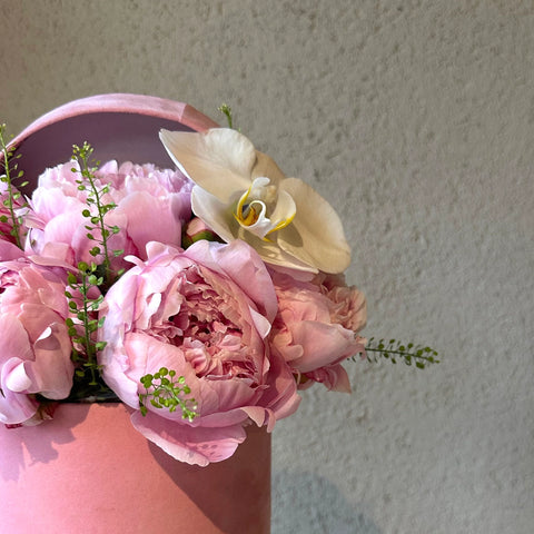 Fairytale Mini Kutuda Pembe Şakayık