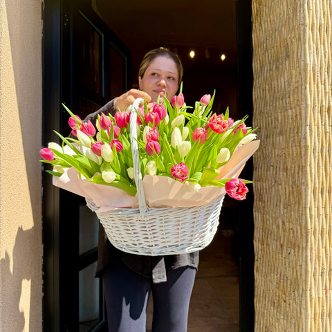 Tulip Chérie Sepette 50 Lale Aranjman