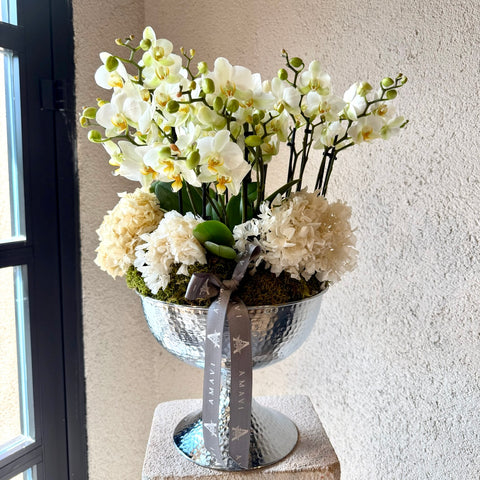 Silver Jardin Midi Orkide Aranjmanı