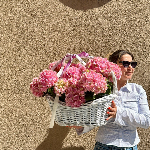 Blush Hydrangea Sepette Ortanca