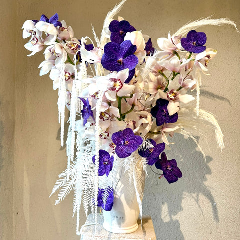 Orchid Opéra Premium Aranjman