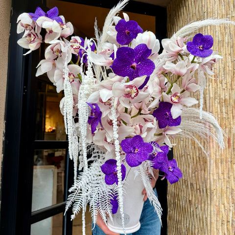 Orchid Opéra Premium Aranjman