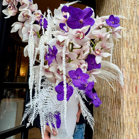 Orchid Opéra Premium Aranjman