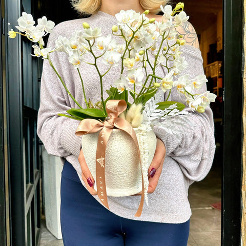 Pure White Midi Orkide