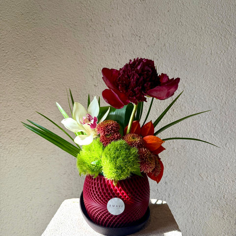 Ruby Garden Saksıda Aranjman