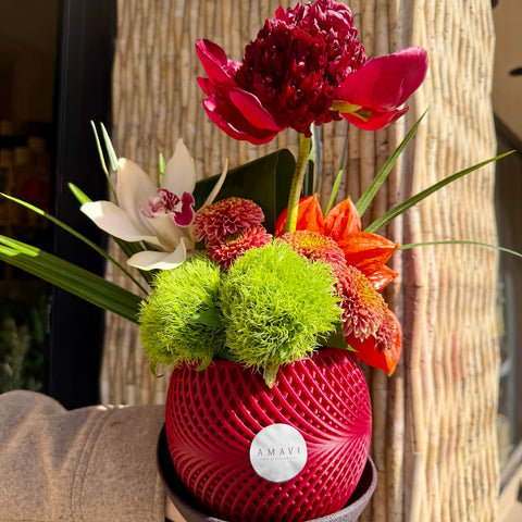 Ruby Garden Saksıda Aranjman