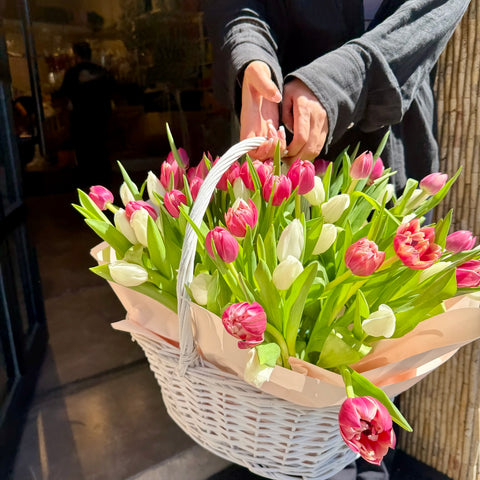 Tulip Chérie Sepette 50 Lale Aranjman