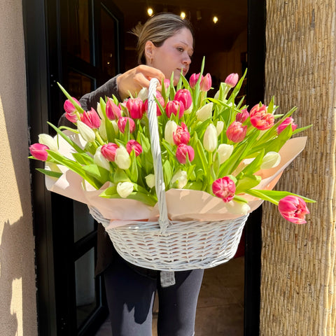 Tulip Chérie Sepette 50 Lale Aranjman