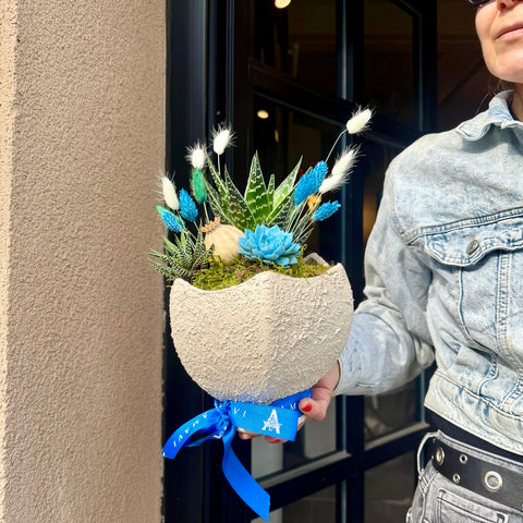 Azure Terra Sukulent Aranjman
