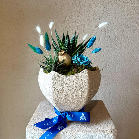 Azure Terra Sukulent Aranjman