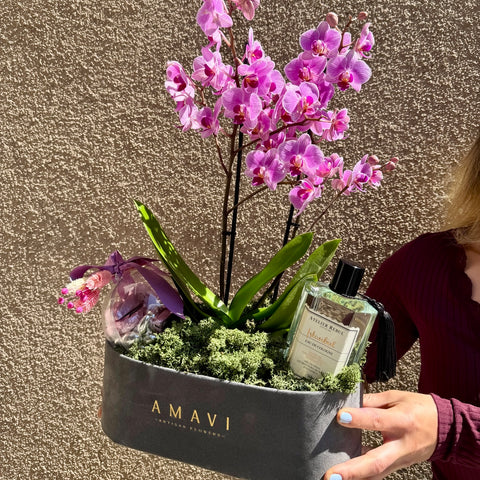 Velour Orchid  Premium Hediye Aranjmanı