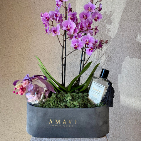 Velour Orchid  Premium Hediye Aranjmanı