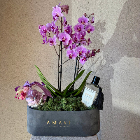 Velour Orchid  Premium Hediye Aranjmanı