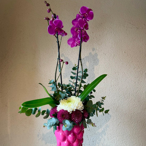 Fuchsia Icon Artisan Vazoda Orkide