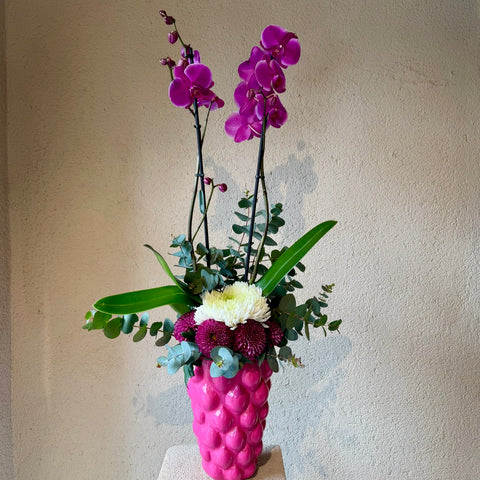 Fuchsia Icon Artisan Vazoda Orkide