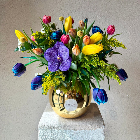 Aurora Pop Rengarenk Laleler