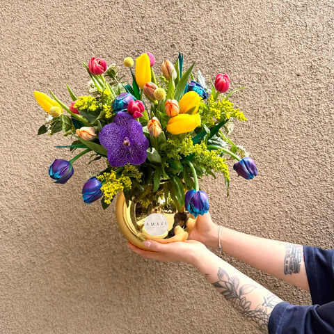 Aurora Pop Rengarenk Laleler