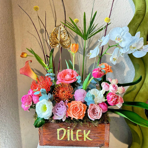 Daylight Muse İsme Özel Aranjman