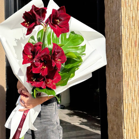 Velvet Amaryllis Premium Buket