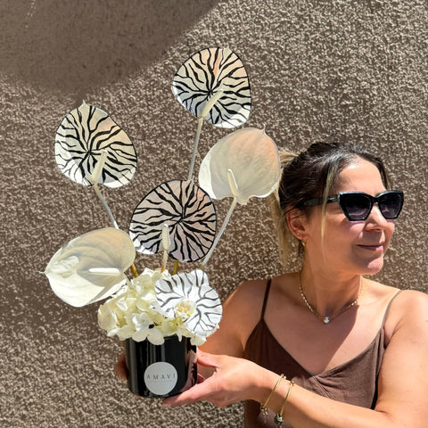 Zebra Noir Mini Anthurium Aranjmanı