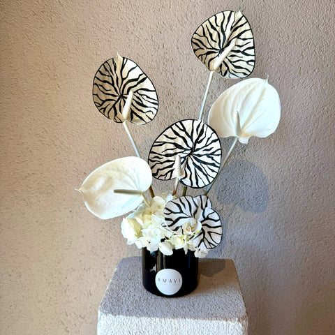 Zebra Noir Mini Anthurium Aranjmanı