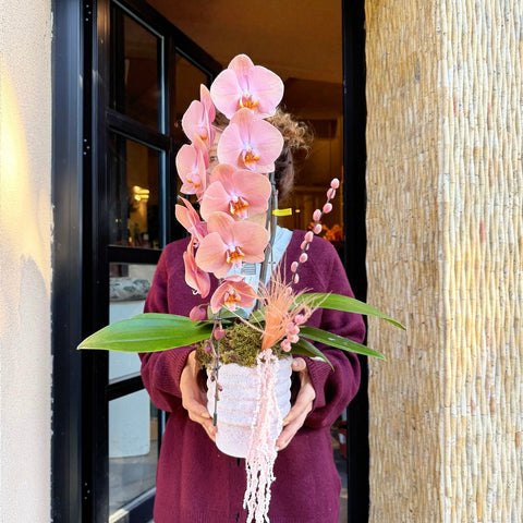 Blush Orchid Modern Saksı Aranjmanı