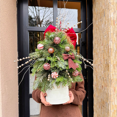 Cinnamon Glow Mini Çam Ağacı